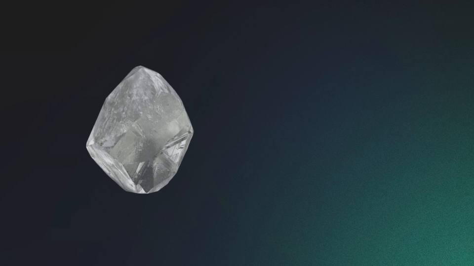 Tracr rough diamond scan and match